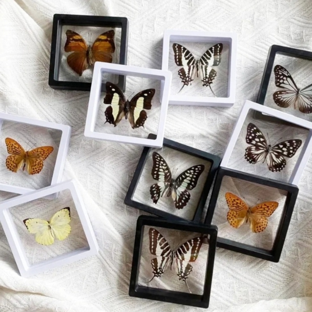 20 PCS 3D Floating Frame Display Stand, Jewelry Case, Gift Box